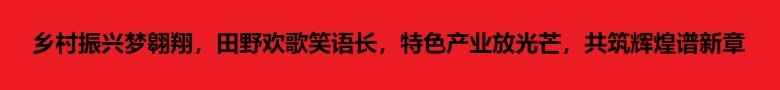 在此处插入徽标