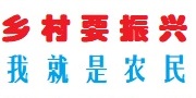 在此处插入徽标